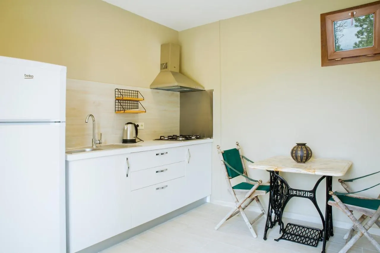 Villa Mertcan By Important Group Travel Bd439 Yalikavak 0*,